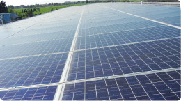 Chieve Plant - Solar Panels